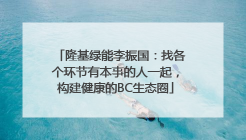 隆基绿能李振国：找各个环节有本事的人一起，构建健康的BC生态圈