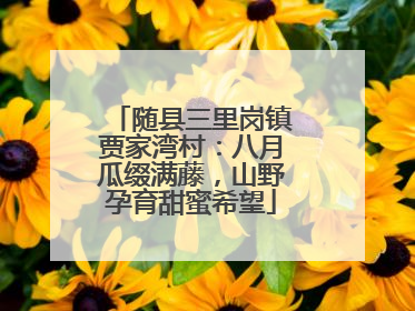 随县三里岗镇贾家湾村：八月瓜缀满藤，山野孕育甜蜜希望
