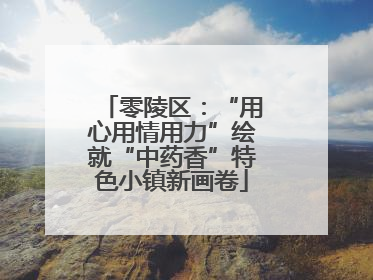 零陵区：“用心用情用力”绘就“中药香”特色小镇新画卷