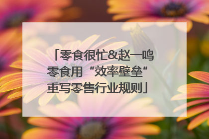 零食很忙&赵一鸣零食用“效率壁垒”重写零售行业规则