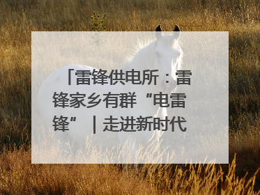 雷锋供电所：雷锋家乡有群“电雷锋”｜走进新时代“雷锋传人 长沙榜样”