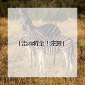雷雨将至！注意