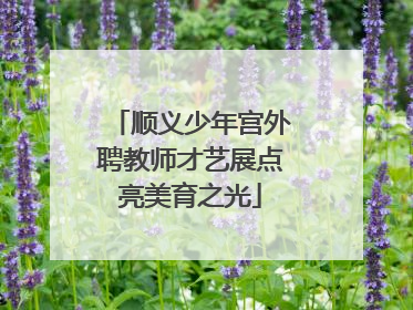 顺义少年宫外聘教师才艺展点亮美育之光