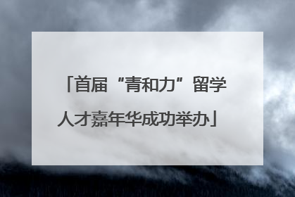首届“青和力”留学人才嘉年华成功举办