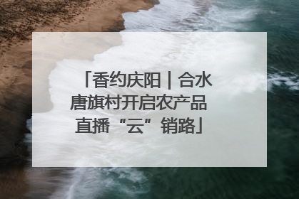香约庆阳｜合水唐旗村开启农产品直播“云”销路
