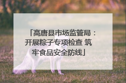 高唐县市场监管局：开展粽子专项检查 筑牢食品安全防线