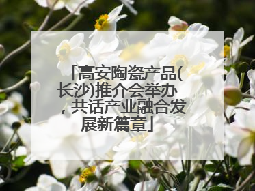 高安陶瓷产品(长沙)推介会举办，共话产业融合发展新篇章