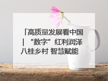 高质量发展看中国｜“数字”红利润泽八桂乡村 智慧赋能绘就振兴画卷
