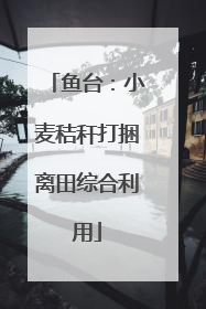鱼台：小麦秸秆打捆离田综合利用