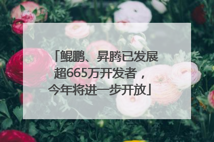 鲲鹏、昇腾已发展超665万开发者，今年将进一步开放