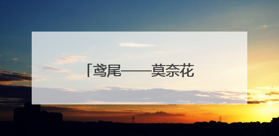 鸢尾——莫奈花园中的彩虹女神
