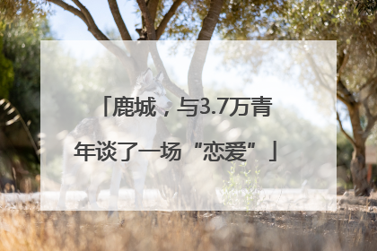 鹿城，与3.7万青年谈了一场“恋爱”