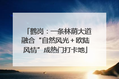 鹤岗：一条林荫大道融合“自然风光＋欧陆风情”成热门打卡地