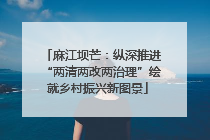 麻江坝芒：纵深推进“两清两改两治理”绘就乡村振兴新图景