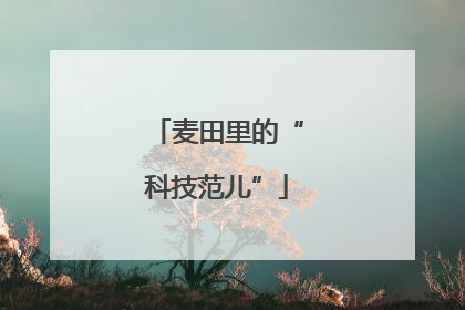 麦田里的“科技范儿”