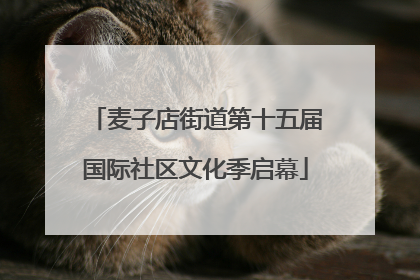 麦子店街道第十五届国际社区文化季启幕