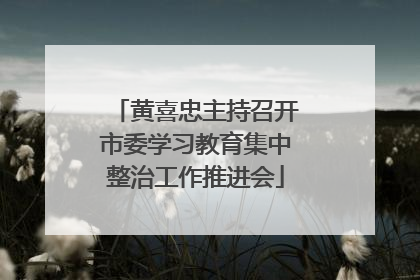 黄喜忠主持召开市委学习教育集中整治工作推进会
