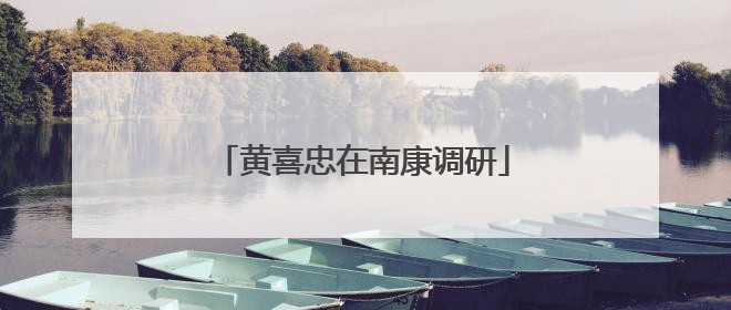 黄喜忠在南康调研