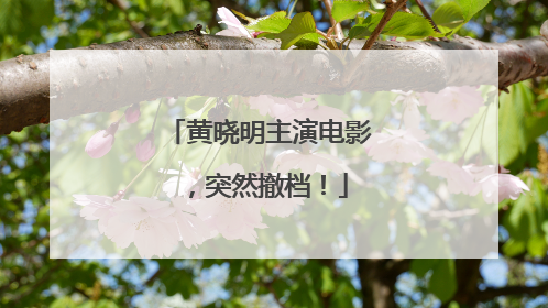 黄晓明主演电影，突然撤档！