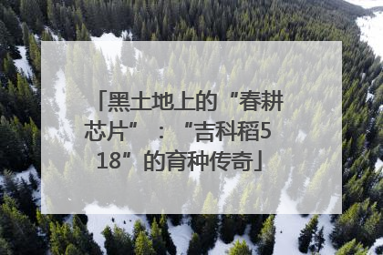 黑土地上的“春耕芯片”：“吉科稻518”的育种传奇