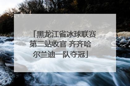 黑龙江省冰球联赛第二站收官 齐齐哈尔兰迪一队夺冠