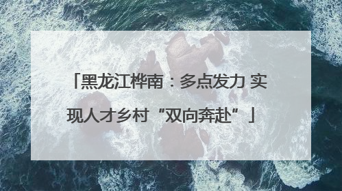 黑龙江桦南：多点发力 实现人才乡村“双向奔赴”