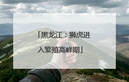 黑龙江：狮虎进入繁殖高峰期