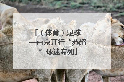 （体育）足球——南京开行“苏超”球迷专列