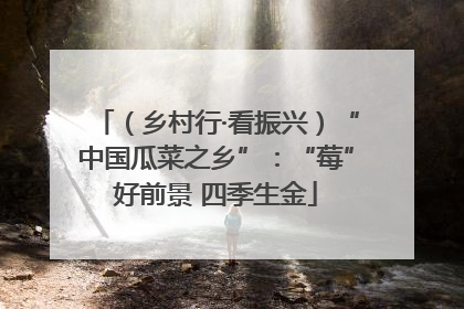 （乡村行·看振兴）“中国瓜菜之乡”：“莓”好前景 四季生金