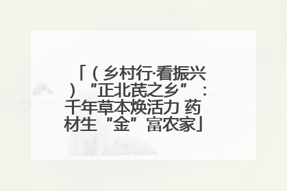（乡村行·看振兴）“正北芪之乡”：千年草本焕活力 药材生“金”富农家