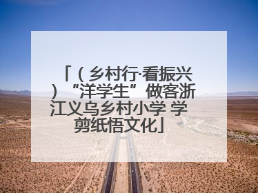 （乡村行·看振兴）“洋学生”做客浙江义乌乡村小学 学剪纸悟文化