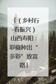 （乡村行·看振兴）山西寿阳：彩椒种出“多彩”致富路