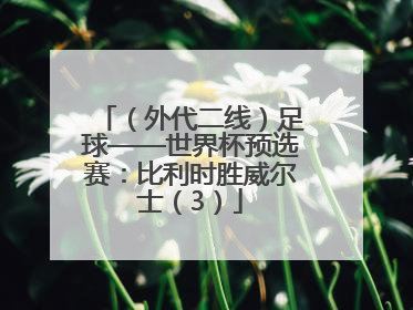 （外代二线）足球——世界杯预选赛：比利时胜威尔士（3）