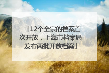 12个全宗的档案首次开放，上海市档案局发布两批开放档案