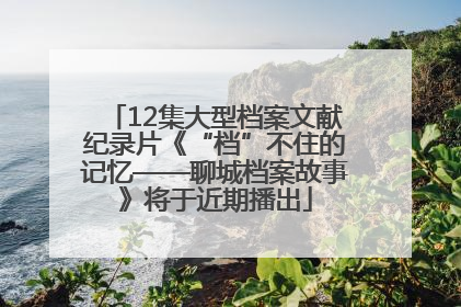 12集大型档案文献纪录片《“档”不住的记忆——聊城档案故事》将于近期播出