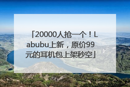 20000人抢一个！Labubu上新，原价99元的耳机包上架秒空