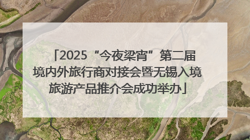 2025“今夜梁宵”第二届境内外旅行商对接会暨无锡入境旅游产品推介会成功举办