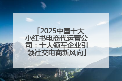 2025中国十大小红书电商代运营公司：十大领军企业引领社交电商新风向