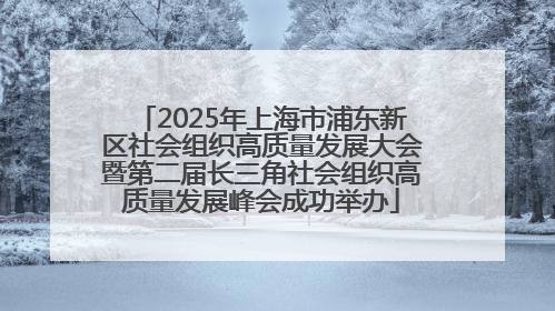 2025年上海市浦东新区社会组织高质量发展大会暨第二届长三角社会组织高质量发展峰会成功举办