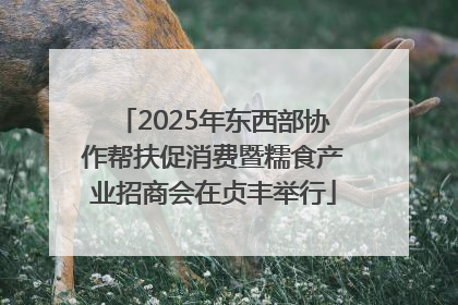 2025年东西部协作帮扶促消费暨糯食产业招商会在贞丰举行