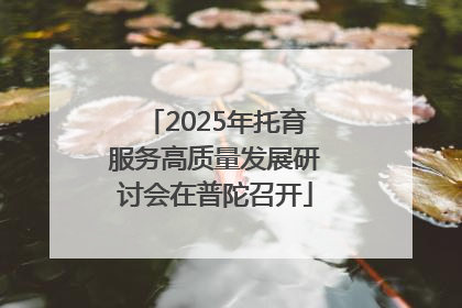 2025年托育服务高质量发展研讨会在普陀召开