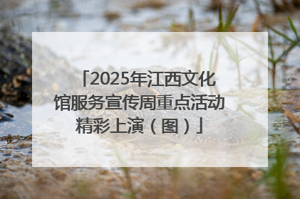 2025年江西文化馆服务宣传周重点活动精彩上演（图）