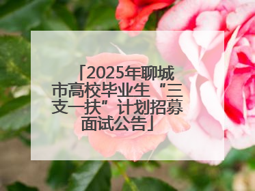 2025年聊城市高校毕业生“三支一扶”计划招募面试公告