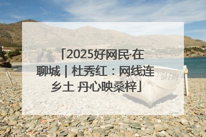 2025好网民·在聊城｜杜秀红：网线连乡土 丹心映桑梓