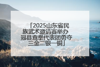 2025山东省民族武术邀请赛举办 冠县查拳代表团勇夺三金二银一铜