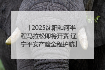 2025沈阳和河半程马拉松即将开赛 辽宁平安产险全程护航