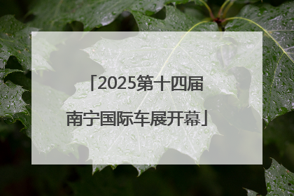 2025第十四届南宁国际车展开幕