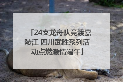 24支龙舟队竞渡嘉陵江 四川武胜系列活动点燃激情端午