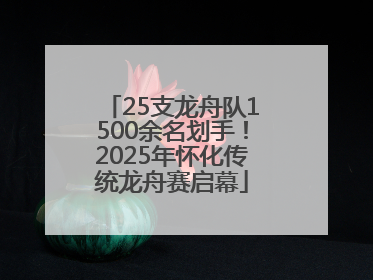 25支龙舟队1500余名划手！2025年怀化传统龙舟赛启幕