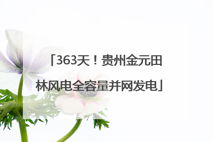 363天！贵州金元田林风电全容量并网发电